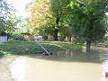 vom Hochwasser vertrieben